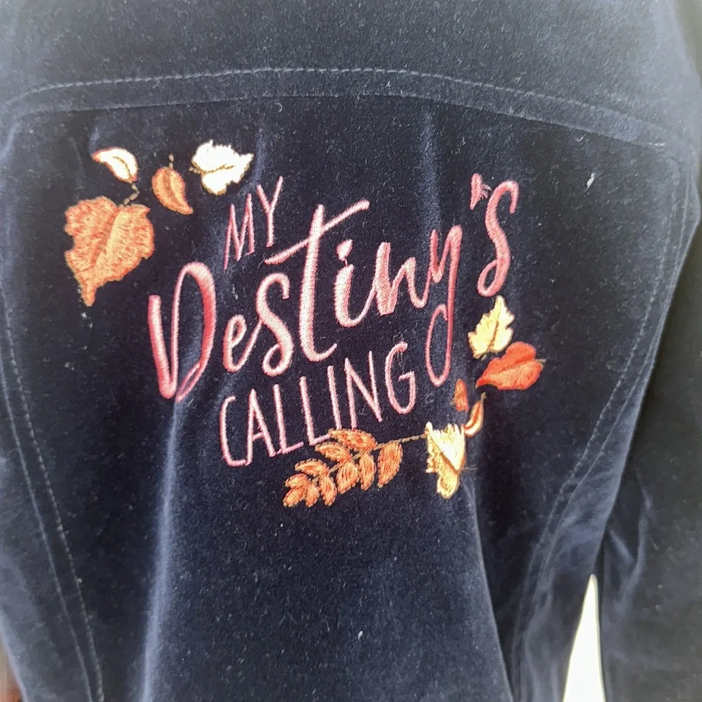 Disney‎ Frozen 2 Navy Embroidered Velvet Jacket My Destiny’s Calling Seek Truth